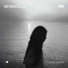 Nofsky & Matt Steep - Let You In (I Need You)