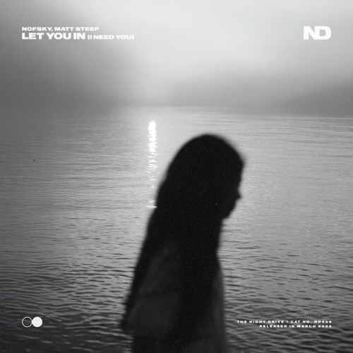 Nofsky & Matt Steep - Let You In (I Need You)