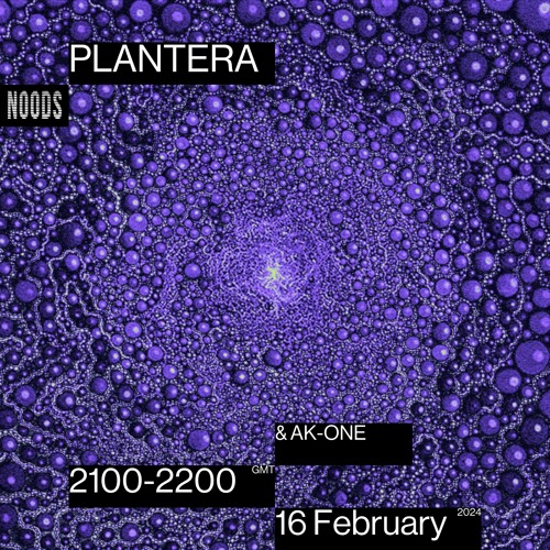 Noods Radio - Plantera & AK-One - 16.02.24