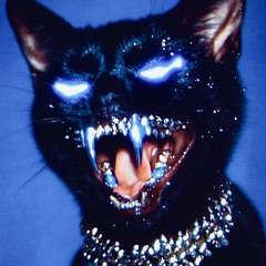 FR3AKOUT ( prod. LLCLAWZ)