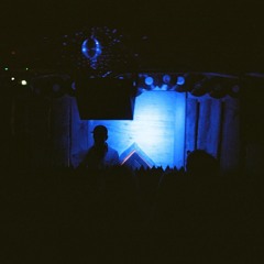TBNF Live@Wolfruh Festival 2024