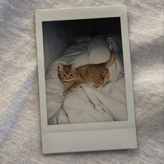 la foto