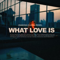 What Love Is (Swendl Remix)