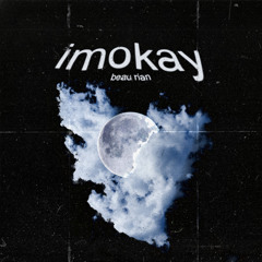 imokay demo