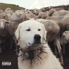 🐑 🐕‍🦺 - 6_26_25, 12.55 PM