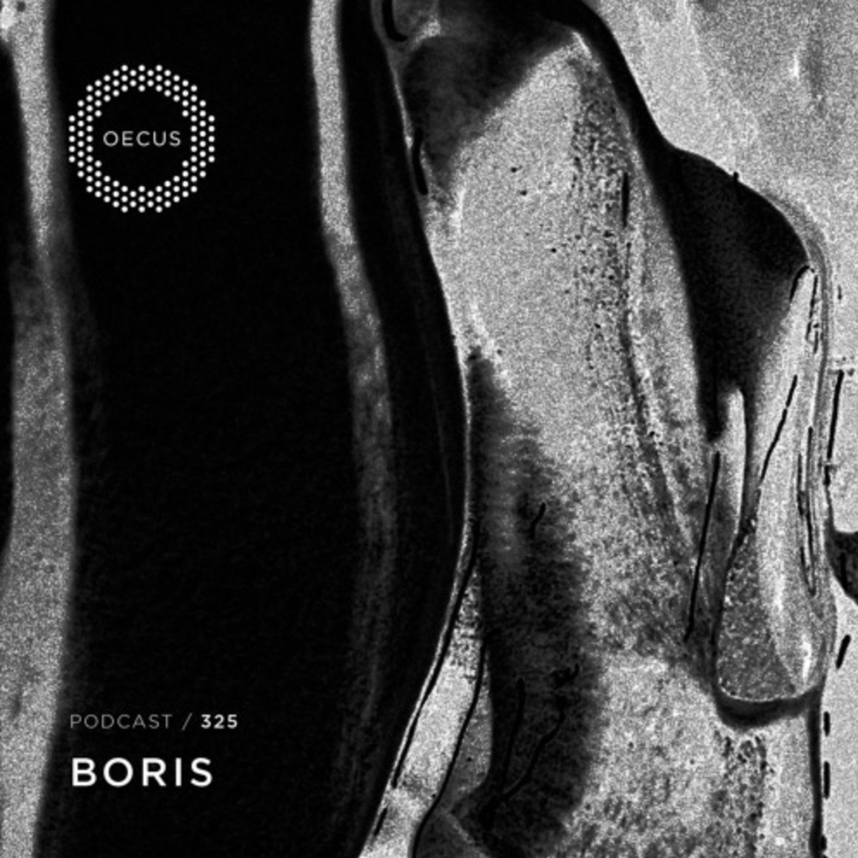 OECUS Podcast 325 episode artwork