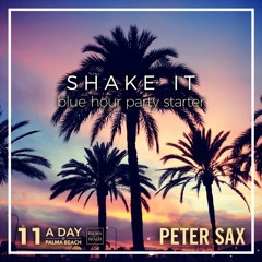 A Day @ Palma Beach 11 - Shake It (Blue Hour Party Starter) (Radio Edit)
