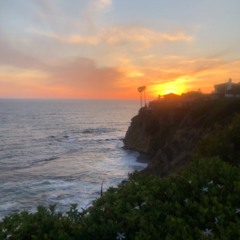 quarantine chronicles