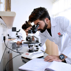 What Makes Chitkara’s Doctorate of Pharmacy More Valuable Than a PharmD Abroad?