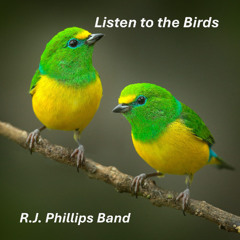 Listen To The Birds