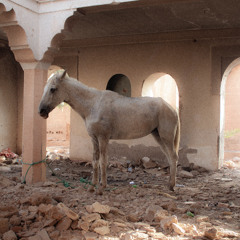 Secret Virtues Of Stones feat. Blackbat.link