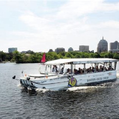 Best Boston Duck Boat Sightseeing City Tour With Cruise Along Charles River Tours Review