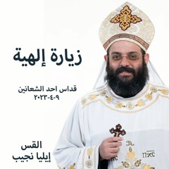 زيارة إلهية - القس ايليا نجيب - 9 - 4-2023 قداس احد الشعانين