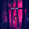 下载视频: Past Life