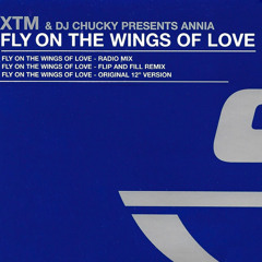 Fly On The Wings Of Love (Radio Mix)