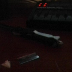 trap phone(prod raspo)(FANGED ANGELBOY)