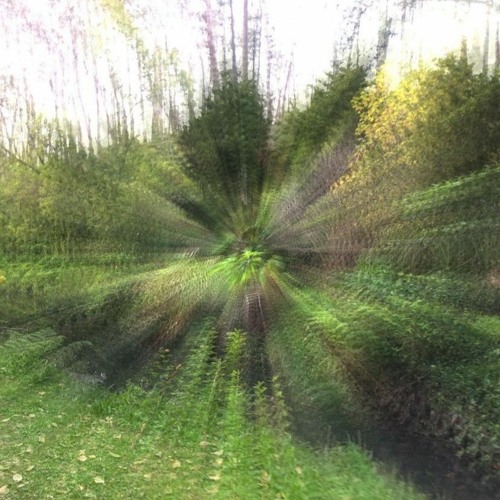 fabrics w/ apri1 *proxy*