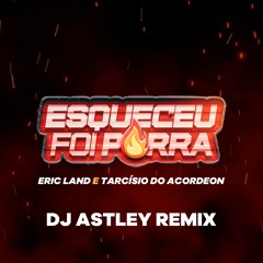 Esqueceu foi porra - Eric Land e Tarcísio do Acordeon (DJ Astley Remix)