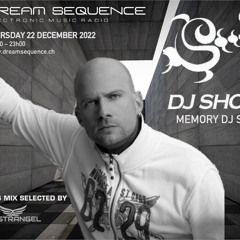 DJ Shog Memory DJ Set by Nostrangel @Dreamsequence Radio