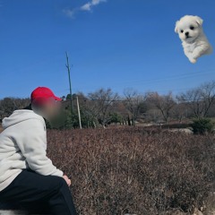 잘가