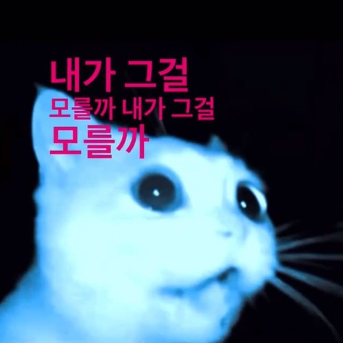 내가 그걸 모를까