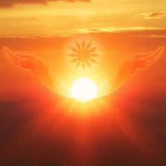 hovering into the sunset