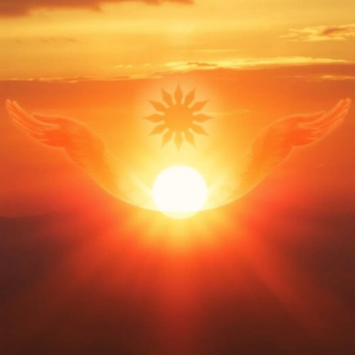 hovering into the sunset