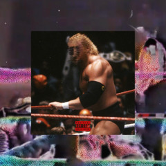 Westside Gunn ft. Brother Tom Sos - "Dr. Britt Baker" (Owltree Remix)