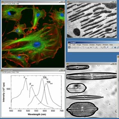 every nocturnal emitter's dreamscape