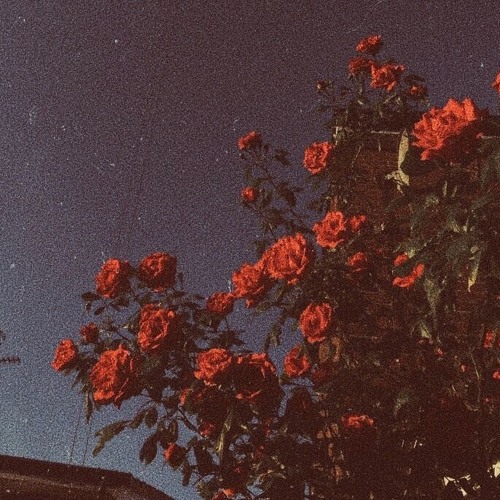 Dont go insane † ( prod dontcryslone ) ꙳ August 27 ꙳