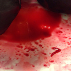 Blood hands ft. dvmin