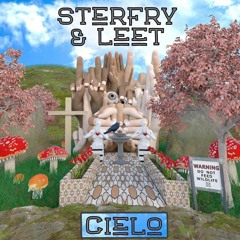 Cielo w/ Sterfry