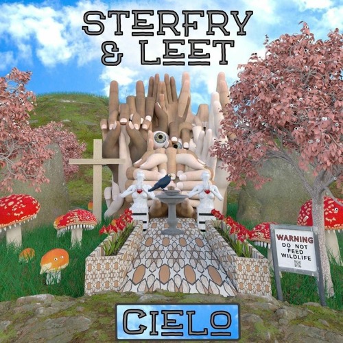 Cielo w/ Sterfry