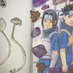 XARUBABA (2)