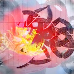 realizations (remastered)