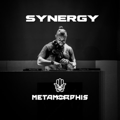 SYNERGY - Melodic Techno Mix (Anyma, Derek Vo, CamelPhat, Soul Panda)
