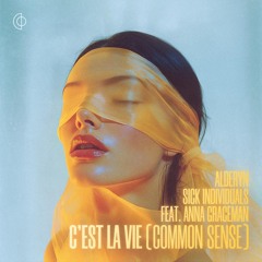 C'est La Vie (Common Sense) [feat. Anna Graceman]