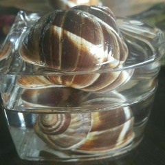 CevapsızSorular 11_savasmasevis