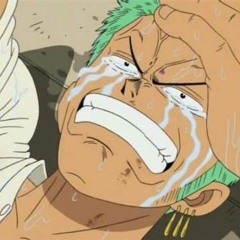 I will never lose again -zoro