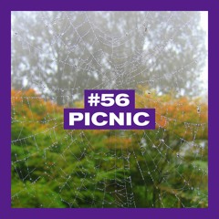 POSITIVE MESSAGES #56 : PICNIC via c-