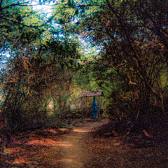 Technical Gatekeeper (Roughmix)⋆.ೃ࿔*✧.*