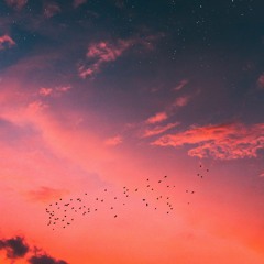 Before You Go