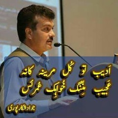 Alim MasRoor Mehfile Song (Zindena verina te da )