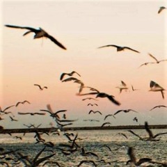 Evanthia Reboutsika | The Depots Are On Fire