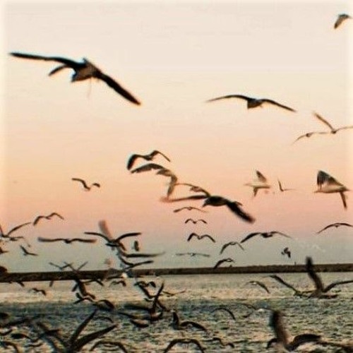 Evanthia Reboutsika | The Depots Are On Fire