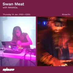 Swan Meat with MAWADa - 14 January 2021