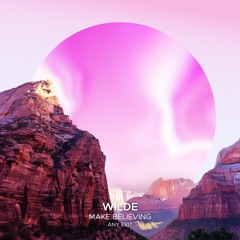 Wilde feat. ANY EXIT - Make Believing