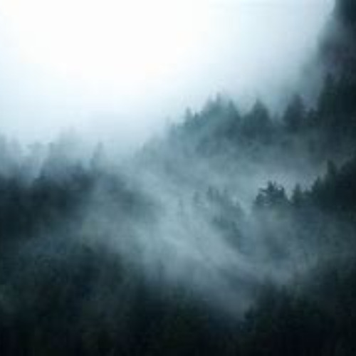 i really like you x Lost - Autumn's Grey Solace