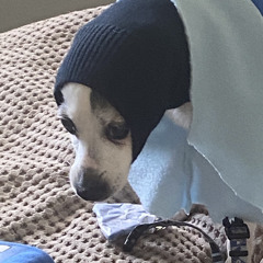 Stoplight [Prod Epi Wick]