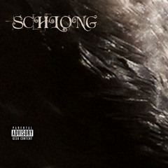 schlong